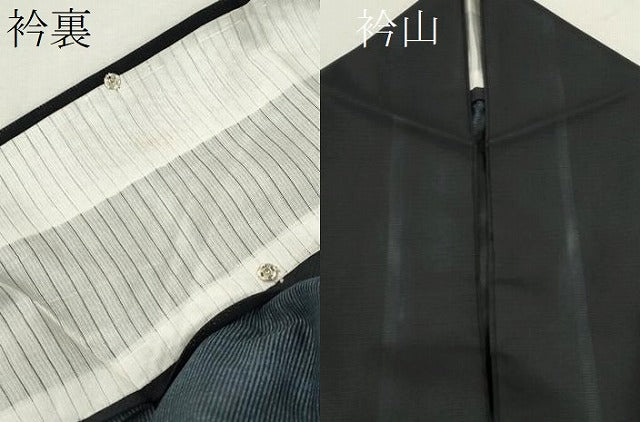 平和屋着物＊夏物 訪問着 絽 笹竹シルエット 黒地 洗える着物 CABB9681ze