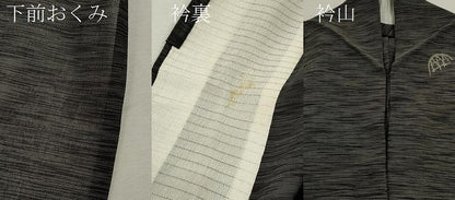平和屋着物＊夏物 紗紬 霞籬文 黒地 正絹 逸品 CABB9710ze