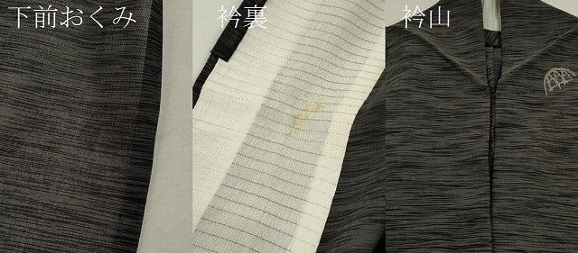 平和屋着物＊夏物 紗紬 霞籬文 黒地 正絹 逸品 CABB9710ze