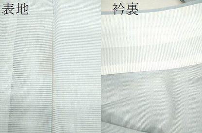 平和屋着物＊夏物 訪問着 絽 草花文 金彩 洗える着物 CABB9724ze