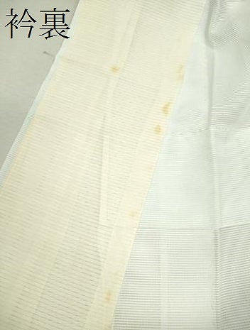 平和屋着物＊夏物 訪問着 絽 手描き 草花文 洗える着物 CABB9729ze