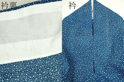平和屋着物＊夏物 訪問着 絽 道長吉祥文 洗える着物 CABB9731ze