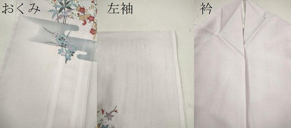 平和屋着物＊夏物 訪問着 絽 御所車枝花文 洗える着物 CABB9734ze