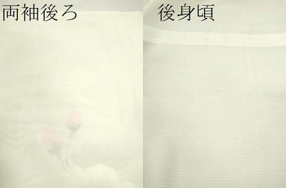 平和屋着物＊夏物 訪問着 絽 手描き 枝花文 正絹 逸品 未使用 CABB9740ze