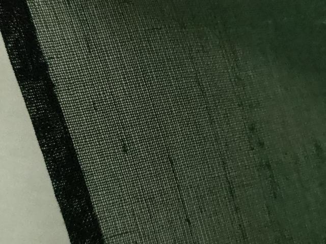平和屋着物＊夏物 色無地 紗紬 虫襖色 正絹 逸品 未使用 CABB9750ze
