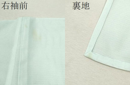 平和屋着物＊夏物 訪問着 絽 笹 洗える着物 CABB9770ze