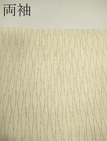 平和屋着物＊夏物 紗紬 立涌文様 正絹 逸品 CABB9788ze