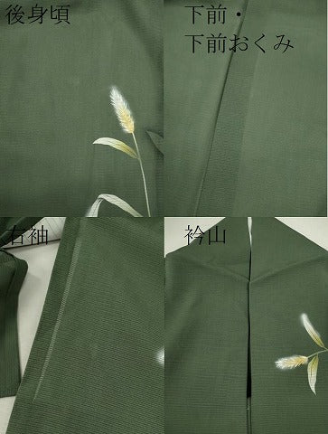 平和屋着物＊夏物 訪問着 絽 トンボ 草木文 暈し染め 正絹 逸品 CABB9799ze