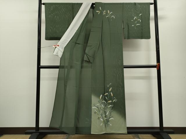 平和屋着物＊夏物 訪問着 絽 トンボ 草木文 暈し染め 正絹 逸品 CABB9799ze