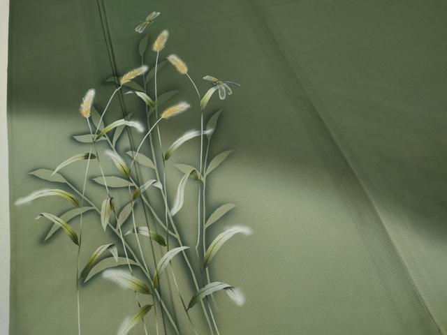 平和屋着物＊夏物 訪問着 絽 トンボ 草木文 暈し染め 正絹 逸品 CABB9799ze