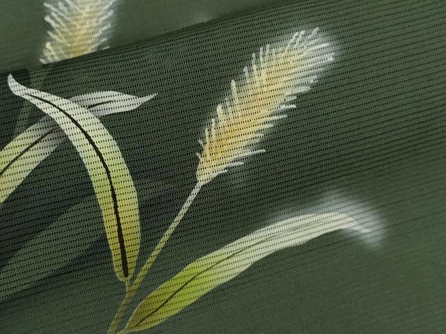 平和屋着物＊夏物 訪問着 絽 トンボ 草木文 暈し染め 正絹 逸品 CABB9799ze