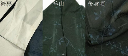 平和屋着物＊夏物 小紋 紗 枝花文 黒地 金彩 正絹 逸品 CABB9810ze