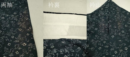 平和屋着物＊夏物 小紋 紗紬 型染め 鳳凰花唐草文 正絹 逸品 CABB9824ze