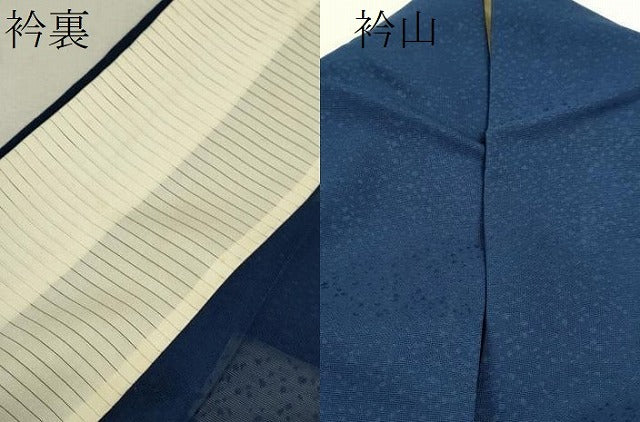平和屋着物＊夏物 色無地 紗 箔散らし紋紗 深縹色 正絹 逸品 CABB9826ze