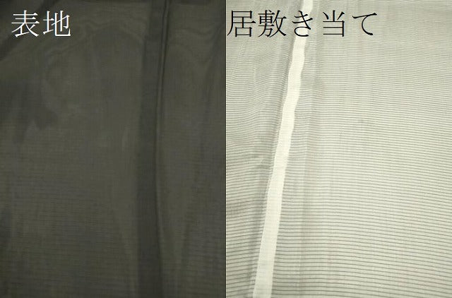 平和屋着物＊夏物 訪問着 絽 藤 暈し染め 黒地 金銀彩 正絹 逸品 CABB9828ze