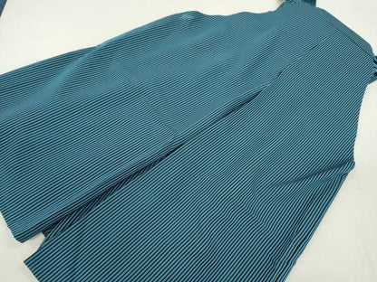平和屋着物＊夏物 男性 馬乗り袴 縦絽 縞 正絹 逸品 CABB9843ze