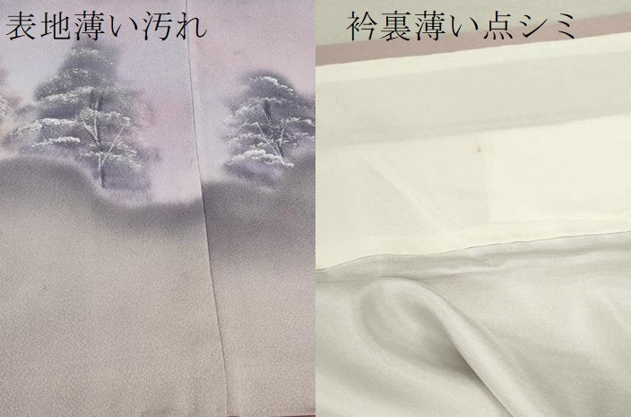 平和屋着物■訪問着 手描き 遠山風景文 暈し染め 正絹 逸品 CABB9942ze