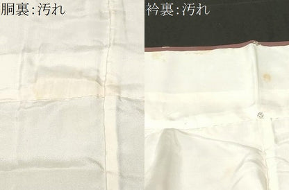 平和屋着物■訪問着 舞花文 正絹 逸品 CABC0049ev
