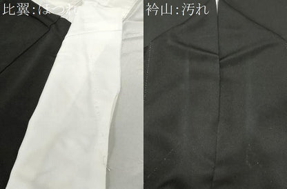平和屋着物■豪華黒留袖　刺繍　飛鶴宝尽くし花文　金彩　正絹　逸品　CABC0293ev