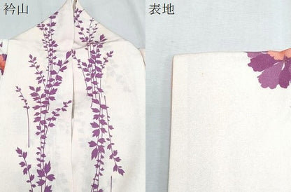 平和屋着物▼上質な小紋 草花間道 暈し染め 金彩 正絹 逸品 CABC1261th