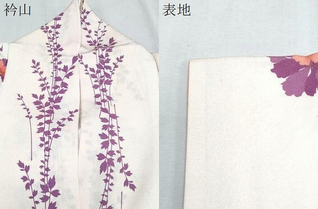 平和屋着物▼上質な小紋 草花間道 暈し染め 金彩 正絹 逸品 CABC1261th
