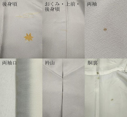 平和屋着物●訪問着 総刺繍 流水草花文 金糸 正絹 逸品 CABC2035ut