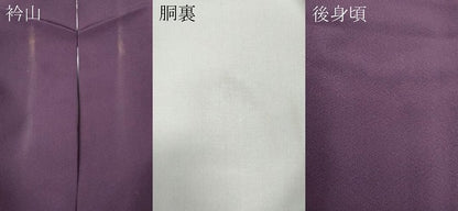 平和屋着物●訪問着 作家物 カラー 金彩 正絹 逸品 CABC2045ut