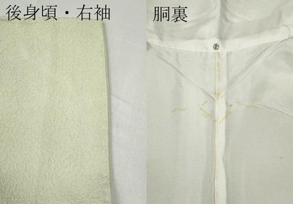 平和屋着物●上質な色無地 白緑色 正絹 逸品 CABC2059ut