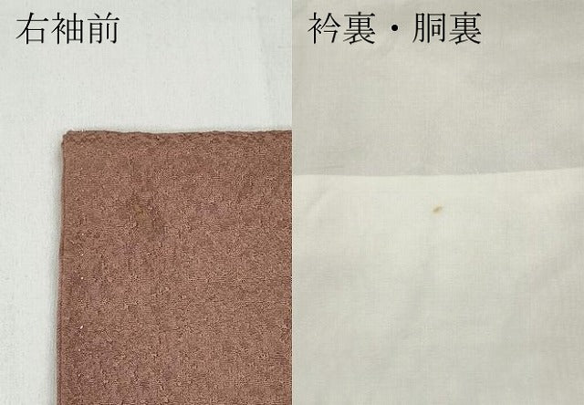 平和屋着物●本草木染作家 瑞寶 色無地 霞地紋 珊瑚色 正絹 逸品 CABC2060ut