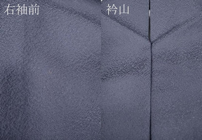 平和屋着物●上質な色無地 作家物 草木染 万雄彩 霞地紋 紫苑色 証紙付き 正絹 逸品 CABC2135ut