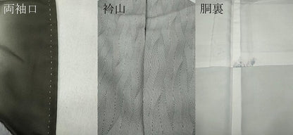 平和屋着物●江戸小紋 吉祥文 正絹 逸品 CABC2164ut