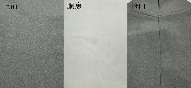 平和屋着物●上質な色無地 桔梗鼠色 正絹 逸品 CABC2192ut