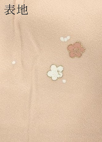 平和屋着物●訪問着 駒刺繍 雪芝草花文 金彩 正絹 逸品 CABC2196ut