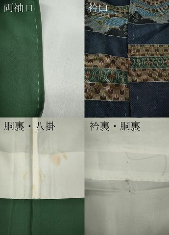 平和屋着物●本場大島紬 7マルキ 横段風景文 正絹 逸品 CABC2212ut