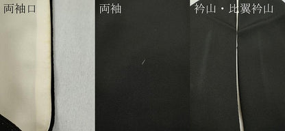 平和屋着物●豪華黒留袖 駒刺繍 船枝垂れ柳花文 金彩 正絹 逸品 CABC2256ut