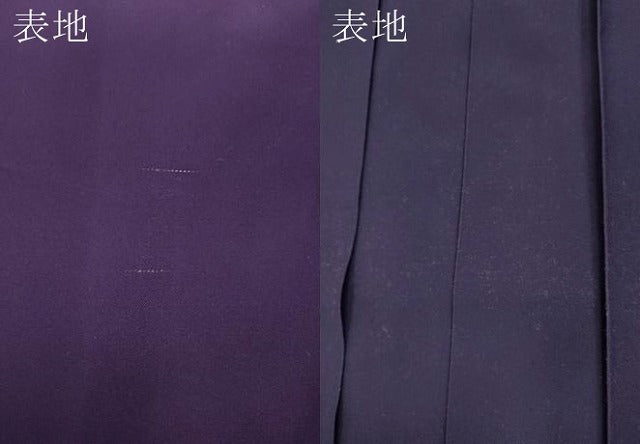 平和屋着物●女性 行灯袴 総刺繍 舞桜 暈し染め 金糸 洗える着物 CABC2266ut