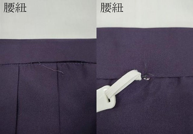 平和屋着物●女性 行灯袴 総刺繍 舞桜文 金糸 洗える着物 CABC2274ut