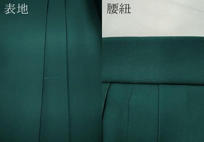 平和屋着物●女性 行灯袴 総刺繍 桜丸文 暈し染め 金糸 洗える着物 CABC2279ut