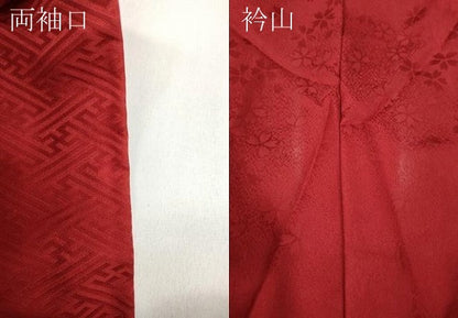 平和屋着物●豪華振袖 舞花尽くし 暈し染め 金彩 正絹 逸品 CABC2297ut