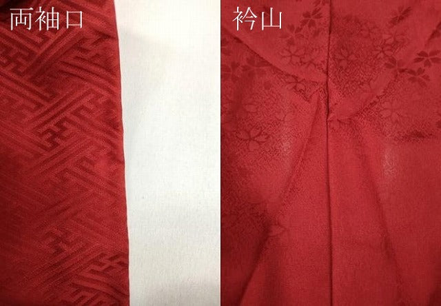 平和屋着物●豪華振袖 舞花尽くし 暈し染め 金彩 正絹 逸品 CABC2297ut