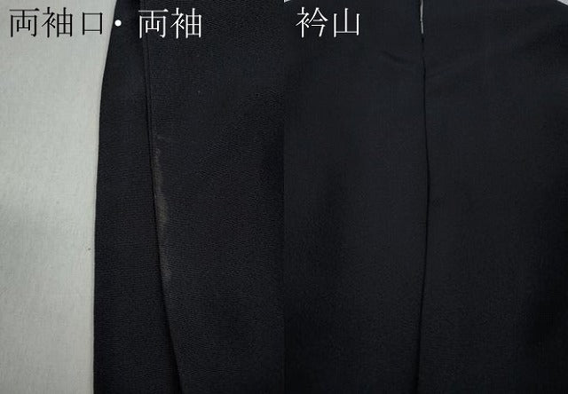 平和屋着物●訪問着 総刺繍 宝尽くし文 金糸 正絹 逸品 CABC2354ut