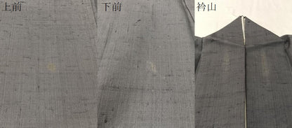 平和屋着物●訪問着 生紬 作家物 霞文 正絹 逸品 CABC2649vp