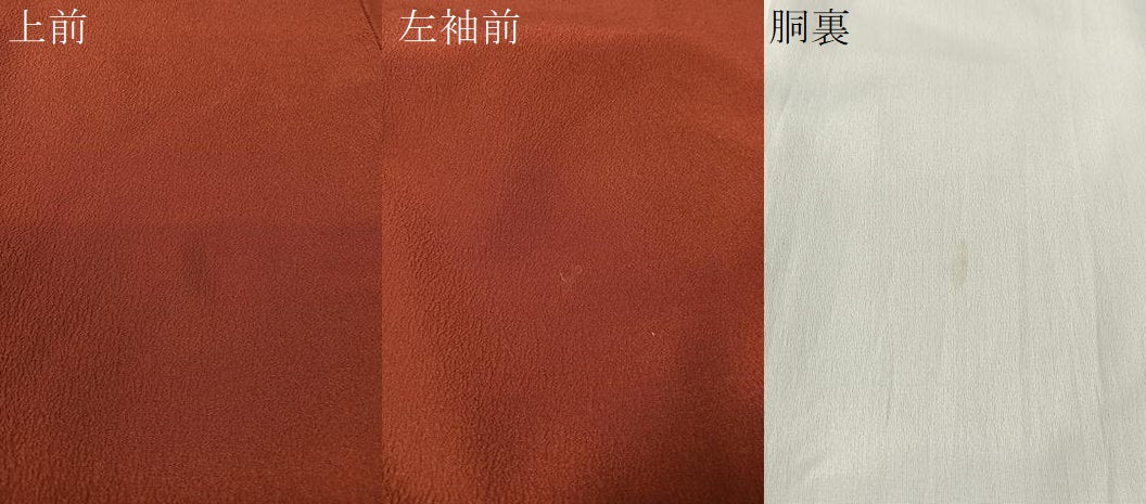 平和屋着物●洗える最高級着物 ＜英＞はなぶさ謹製 色無地 赤銅色 鬼しぼ縮緬 CABC2650vp