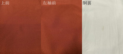 平和屋着物●洗える最高級着物 ＜英＞はなぶさ謹製 色無地 赤銅色 鬼しぼ縮緬 CABC2650vp