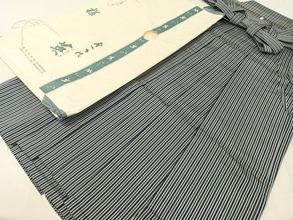 平和屋着物●男性 洗える最高級着物 ＜英＞はなぶさ謹製 行燈袴 縞 たとう紙付き CABC2667vp