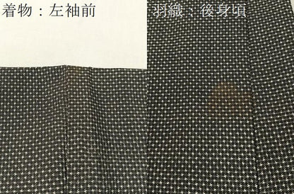 平和屋着物●男性 本場大島紬 アンサンブル 一元絣 正絹 逸品 CABC2731vp