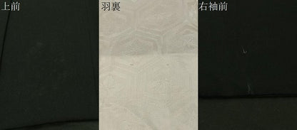 平和屋着物＃羽織 寿光織 枝花文 黒地 金銀糸 正絹 逸品 CABC2949ua