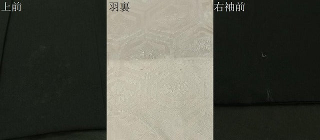 平和屋着物＃羽織 寿光織 枝花文 黒地 金銀糸 正絹 逸品 CABC2949ua