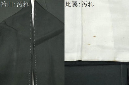 平和屋着物■豪華黒留袖 作家物 飛鶴風景花文 金彩 正絹 逸品 CABC3627fb