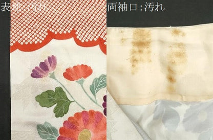 平和屋着物■訪問着 駒刺繍 雲取り枝菊文 金彩 正絹 逸品 CABC3700fb